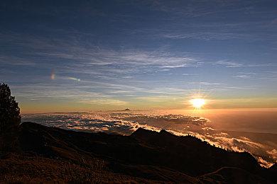 《特殊清扫》Steam上线 恐怖死亡现场清扫模拟